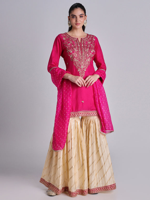 Rani Pink Silk Cotton Sharara Set - 32568
